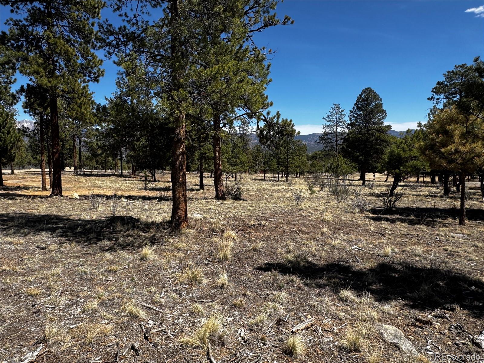 30583 Timberline Drive Buena Vista CO 81211
