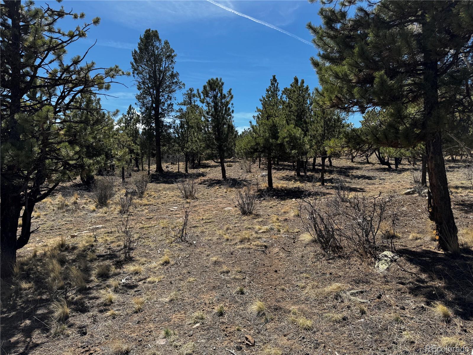 30583 Timberline Drive Buena Vista CO 81211
