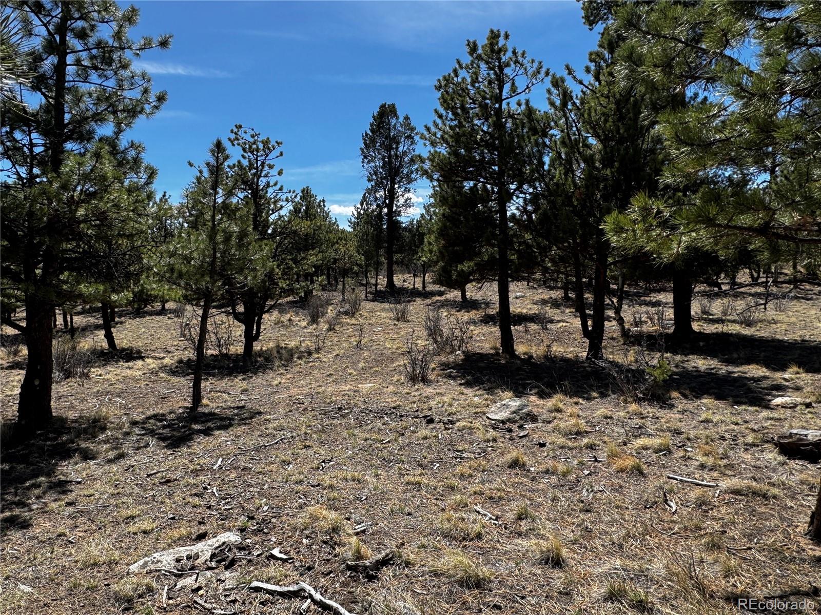 30583 Timberline Drive Buena Vista CO 81211
