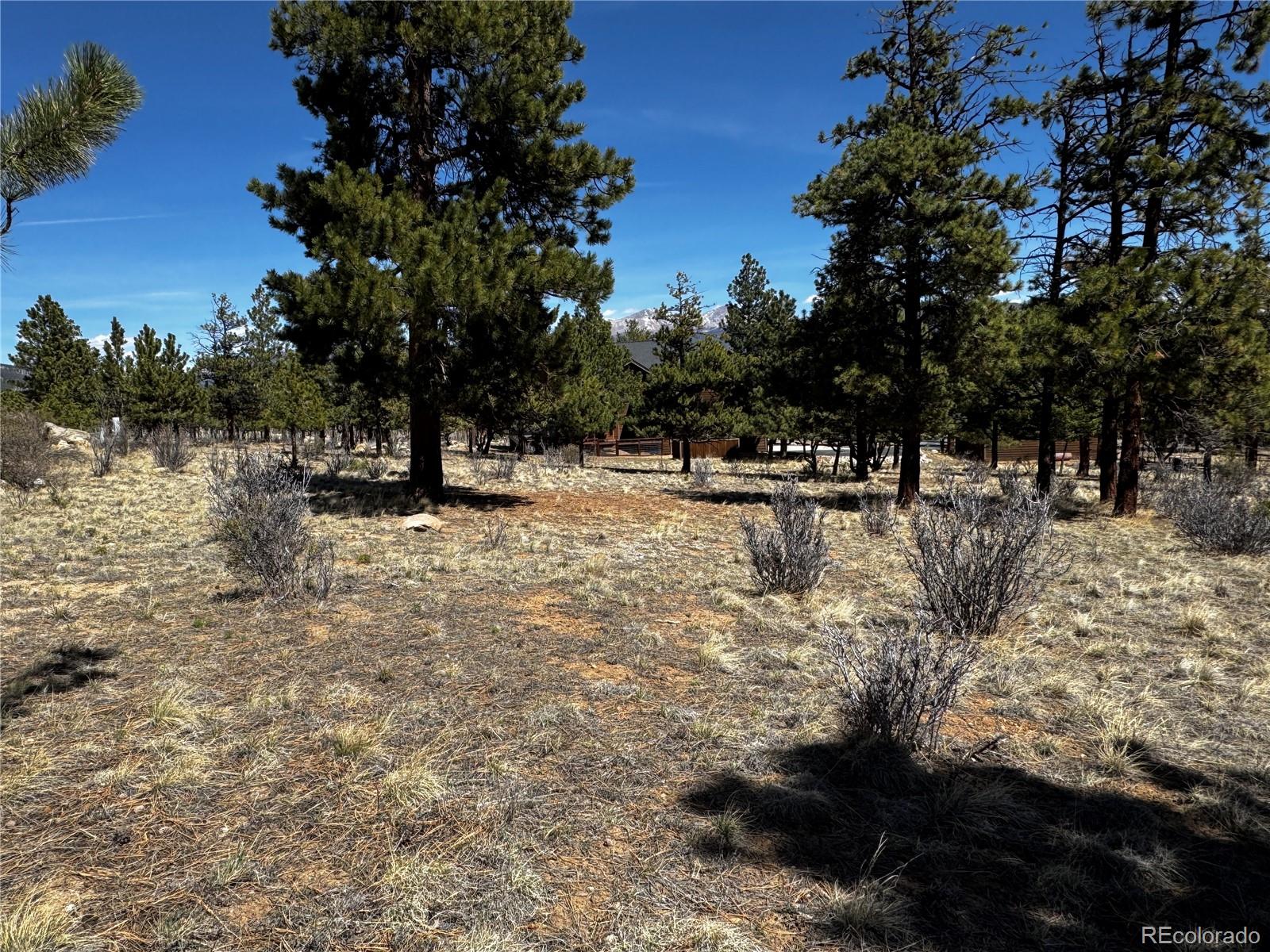 30583 Timberline Drive Buena Vista CO 81211