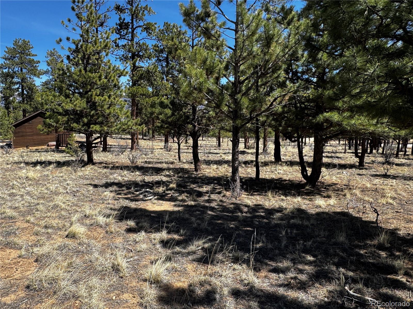 30583 Timberline Drive Buena Vista CO 81211