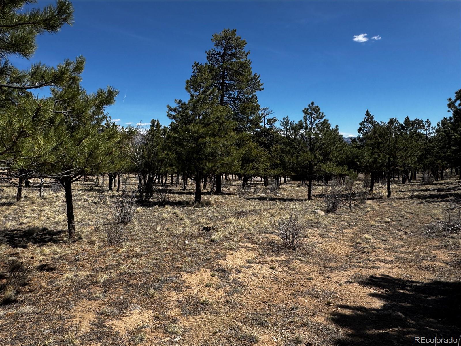 30583 Timberline Drive Buena Vista CO 81211
