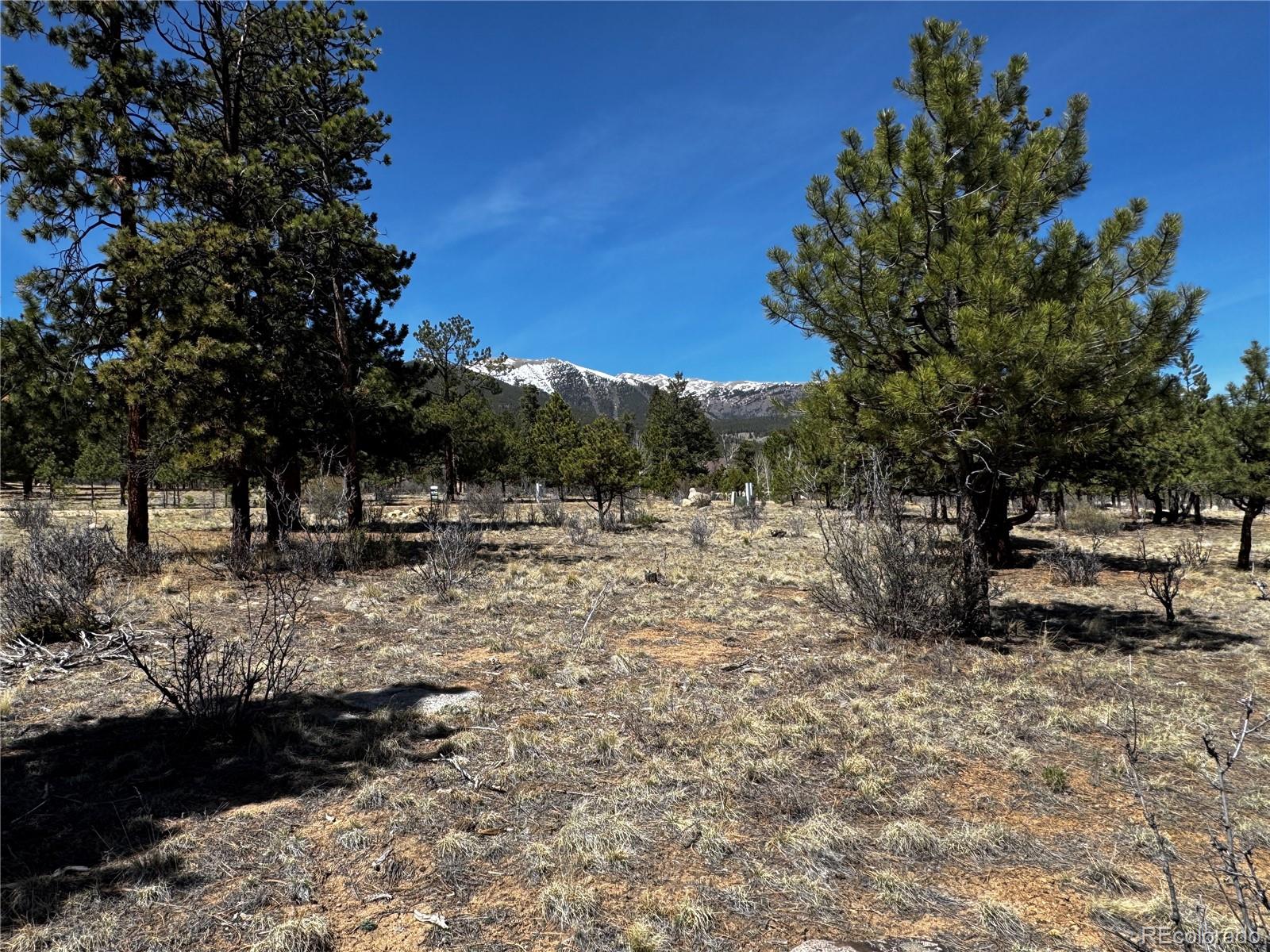 30583 Timberline Drive Buena Vista CO 81211