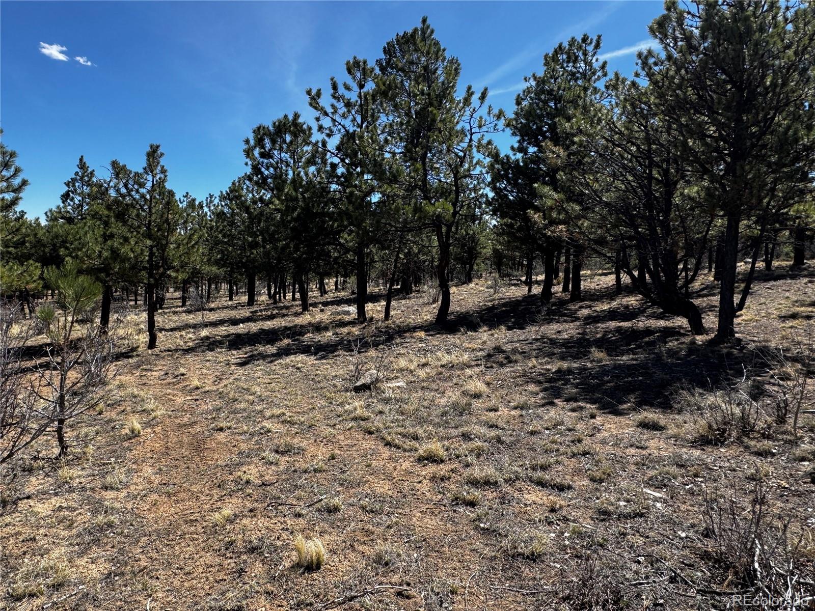30583 Timberline Drive Buena Vista CO 81211
