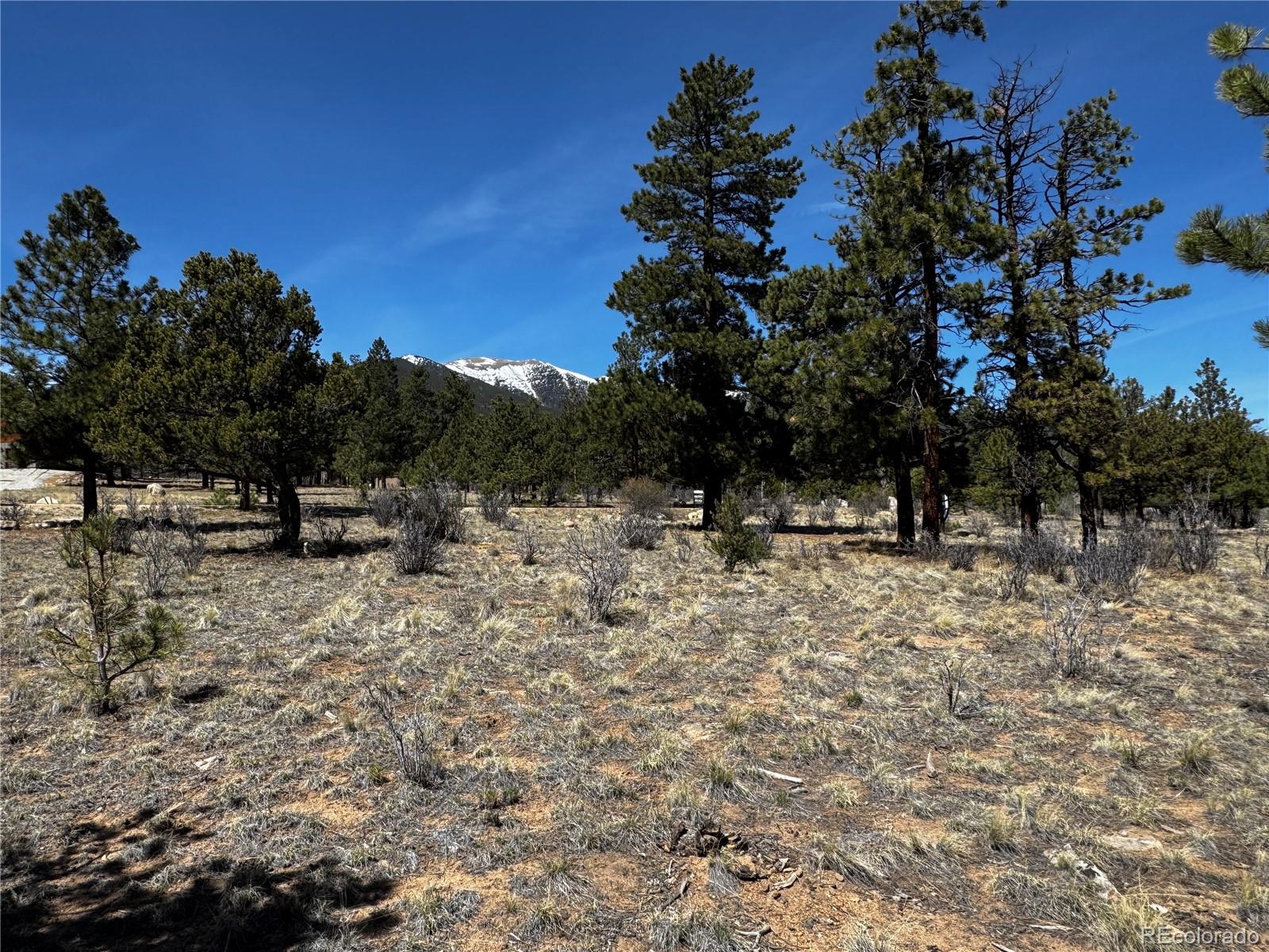 30583 Timberline Drive Buena Vista CO 81211