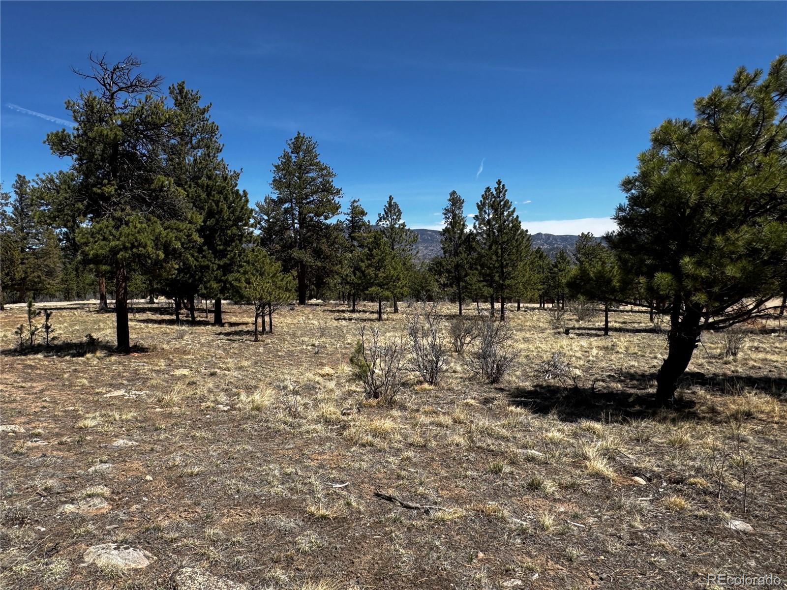 30583 Timberline Drive Buena Vista CO 81211