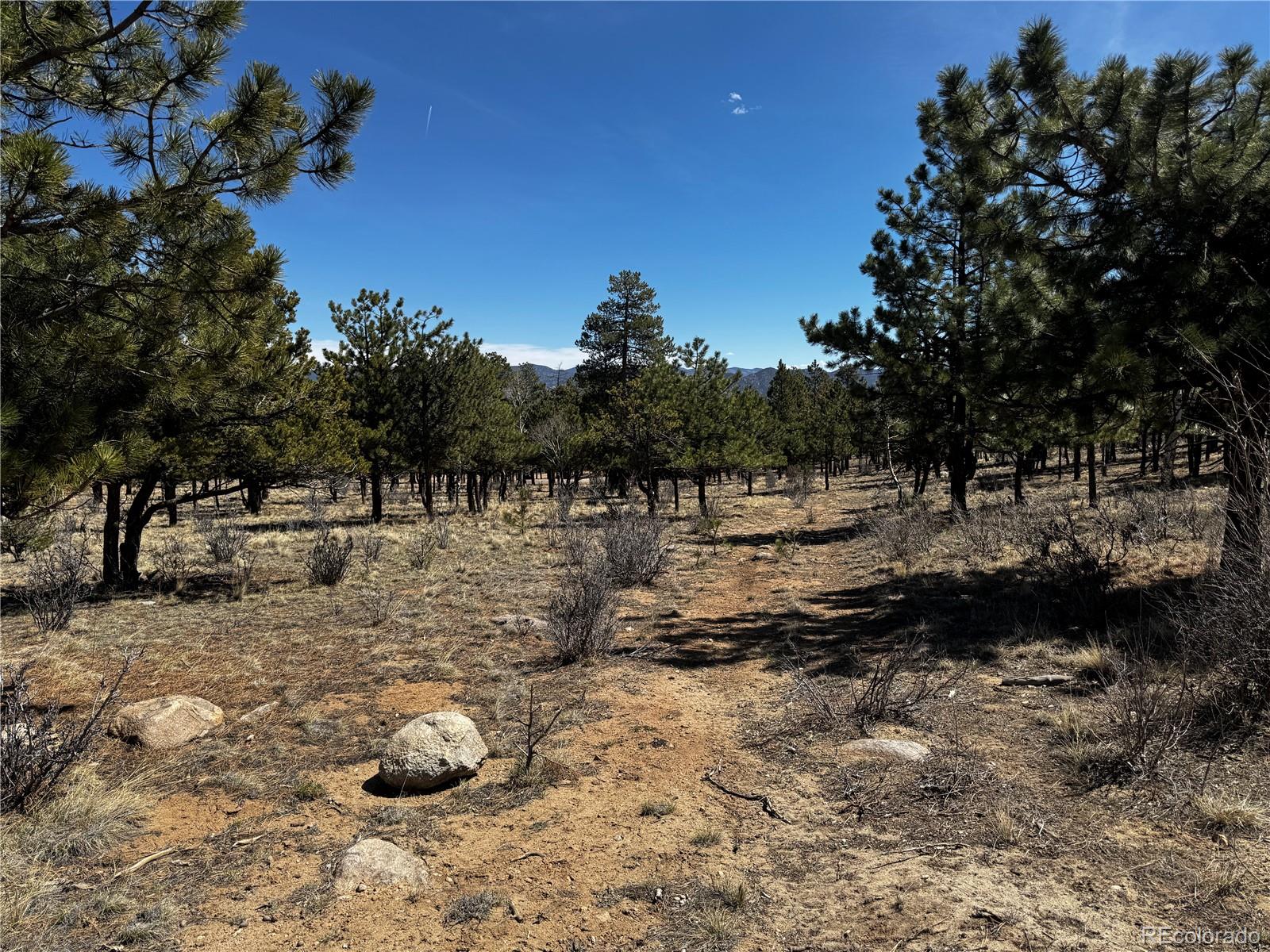 30583 Timberline Drive Buena Vista CO 81211