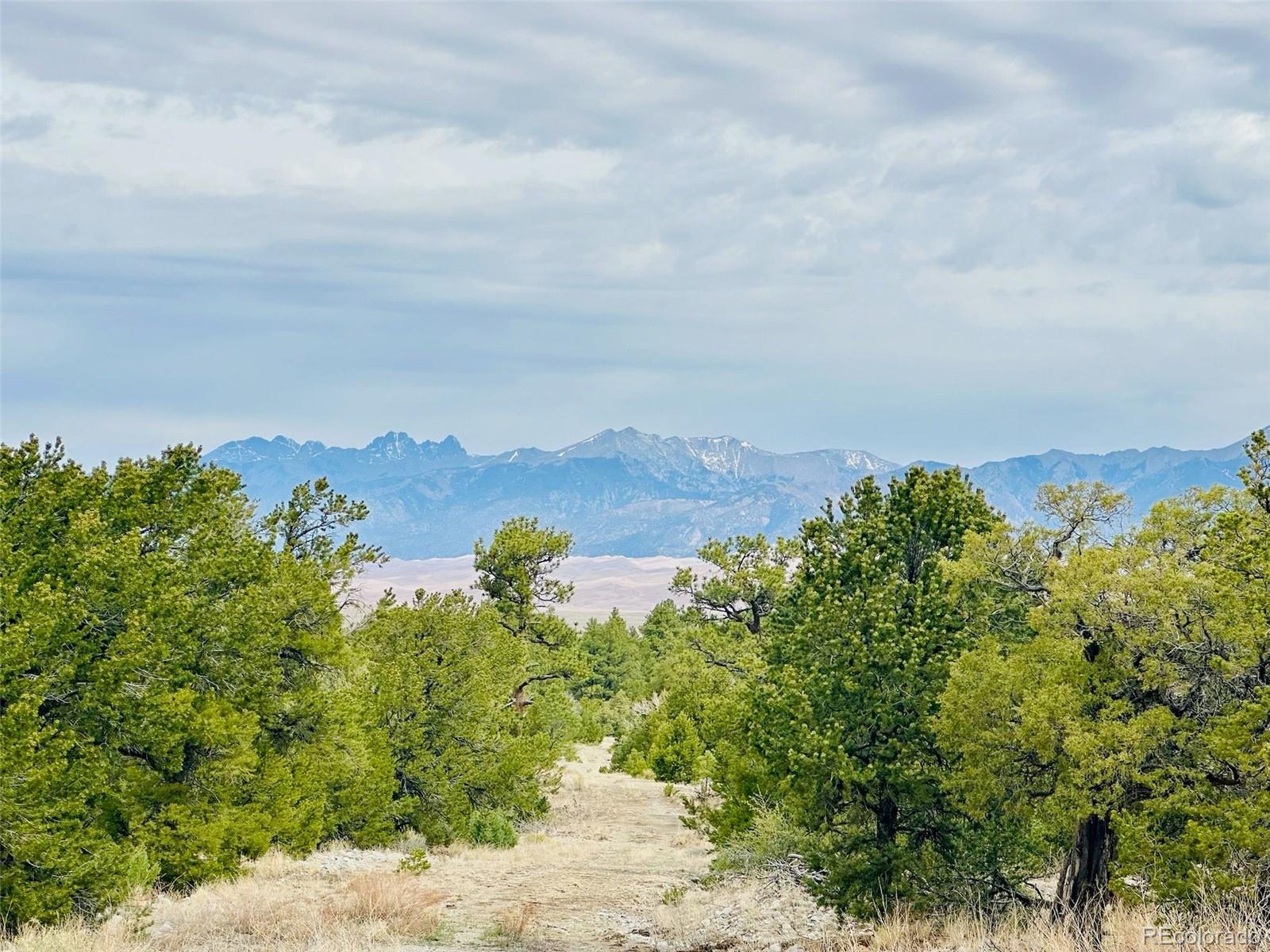 65 Mill Run Alamosa CO 81101