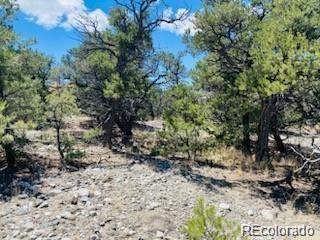 65 Mill Run Alamosa CO 81101