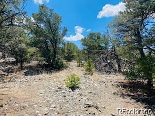 65 Mill Run Alamosa CO 81101