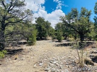 65 Mill Run Alamosa CO 81101