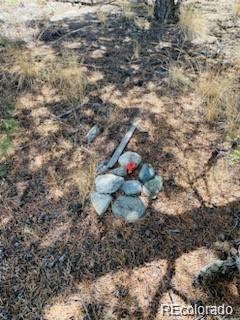 65 Mill Run Alamosa CO 81101