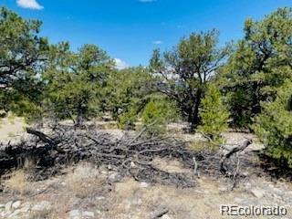 65 Mill Run Alamosa CO 81101