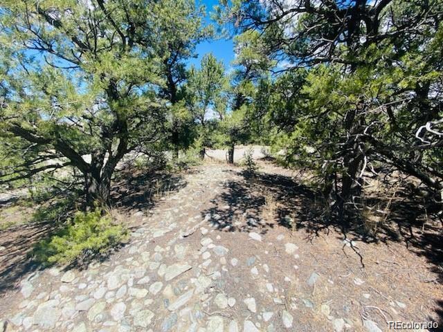 65 Mill Run Alamosa CO 81101