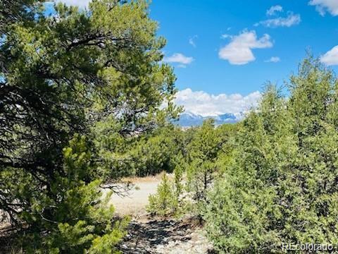 65 Mill Run Alamosa CO 81101