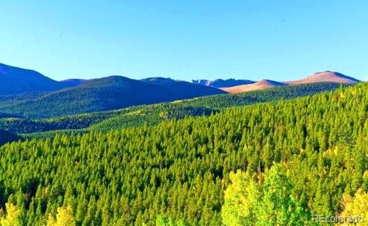 111 Swift Claim Road Georgetown CO 80444