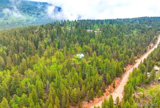 111 Swift Claim Road Georgetown CO 80444