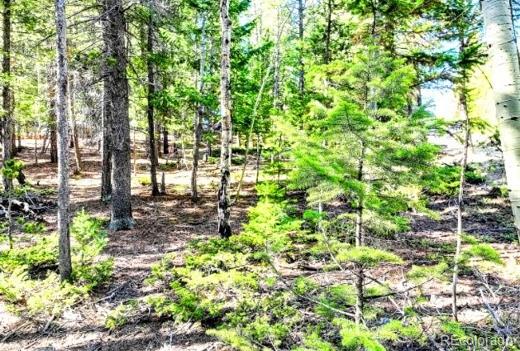 111 Swift Claim Road Georgetown CO 80444