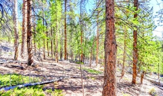 111 Swift Claim Road Georgetown CO 80444