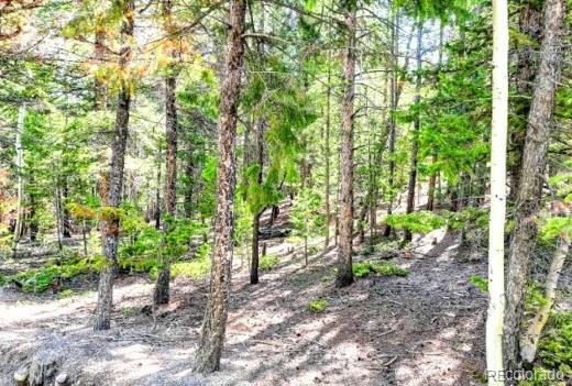 111 Swift Claim Road Georgetown CO 80444