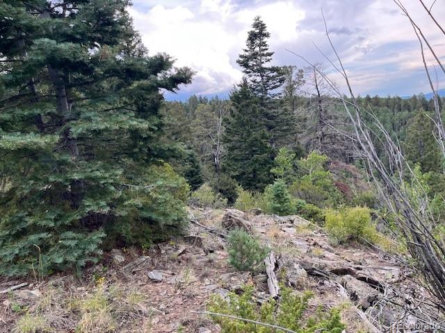 Lot 6184 Ryland Road San Luis CO 81152