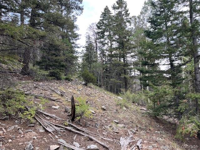 Lot 6184 Ryland Road San Luis CO 81152