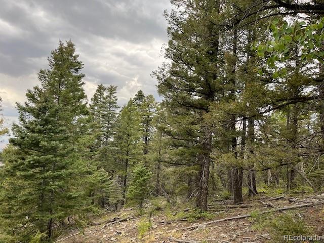 Lot 6184 Ryland Road San Luis CO 81152