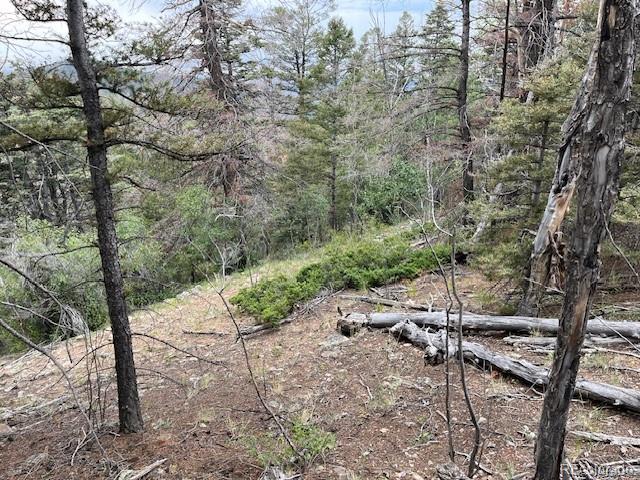 Lot 6184 Ryland Road San Luis CO 81152