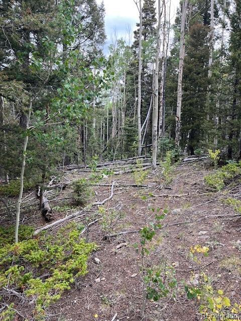 Lot 6184 Ryland Road San Luis CO 81152