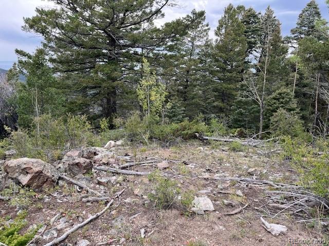 Lot 6184 Ryland Road San Luis CO 81152