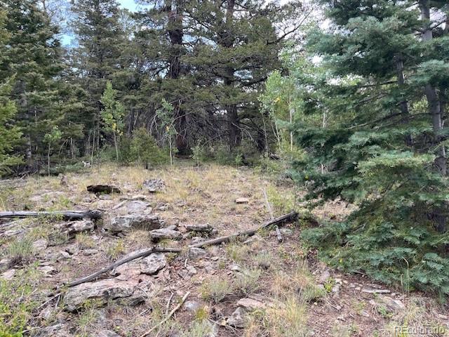 Lot 6184 Ryland Road San Luis CO 81152
