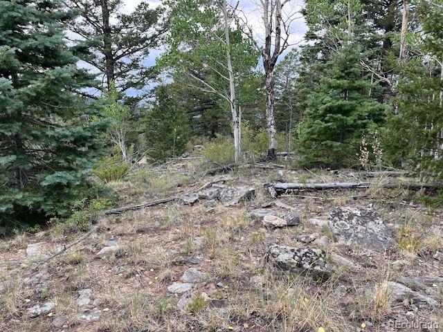 Lot 6184 Ryland Road San Luis CO 81152