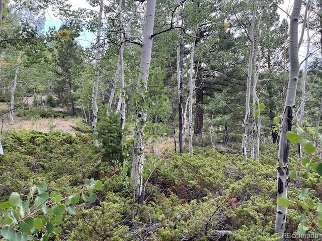 Lot 6184 Ryland Road San Luis CO 81152