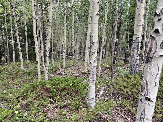 Lot 6184 Ryland Road San Luis CO 81152