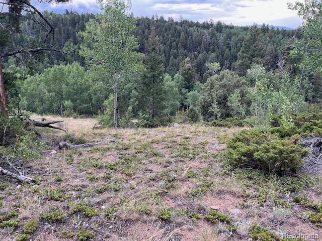 Lot 6184 Ryland Road San Luis CO 81152