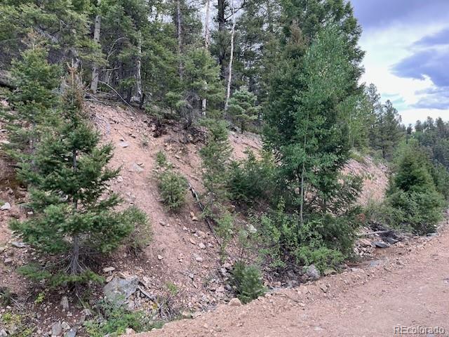 Lot 6184 Ryland Road San Luis CO 81152