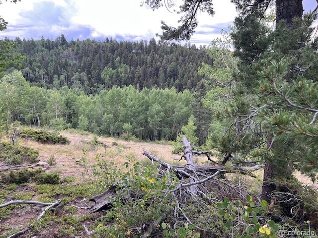 Lot 6184 Ryland Road San Luis CO 81152