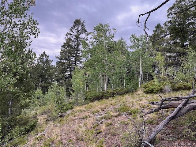 Lot 6184 Ryland Road San Luis CO 81152