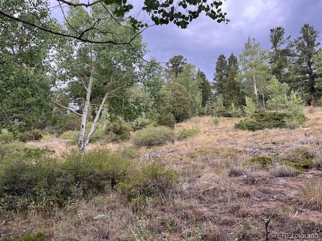 Lot 6184 Ryland Road San Luis CO 81152