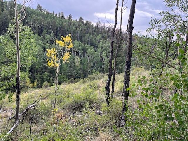 Lot 6184 Ryland Road San Luis CO 81152