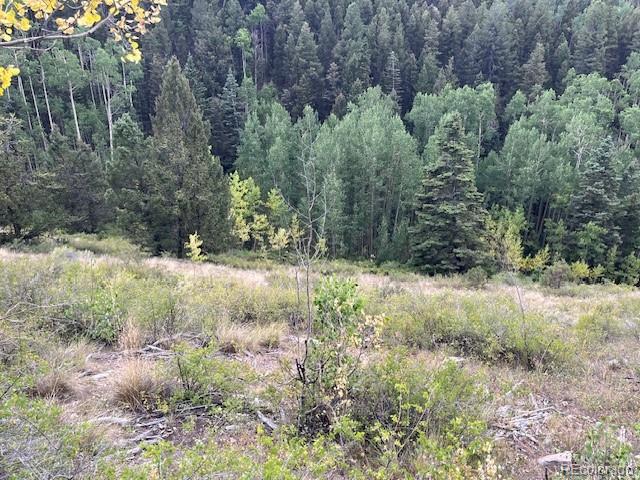 Lot 6184 Ryland Road San Luis CO 81152