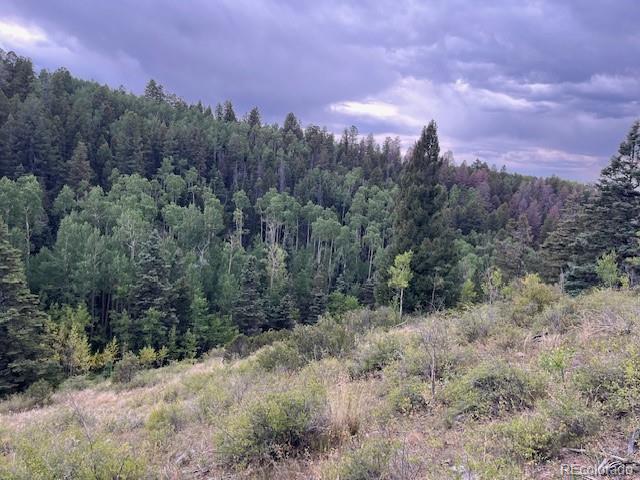 Lot 6184 Ryland Road San Luis CO 81152