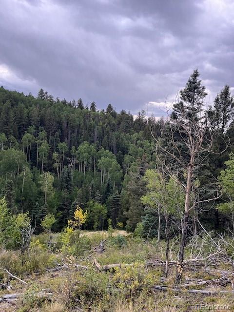 Lot 6184 Ryland Road San Luis CO 81152
