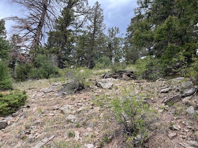 Lot 6184 Ryland Road San Luis CO 81152