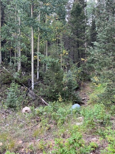 Lot 6184 Ryland Road San Luis CO 81152
