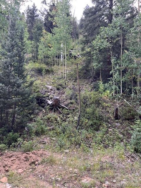 Lot 6184 Ryland Road San Luis CO 81152