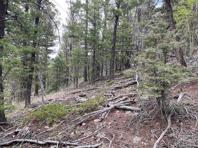 Lot 6184 Ryland Road San Luis CO 81152