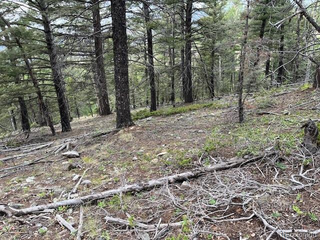 Lot 6184 Ryland Road San Luis CO 81152