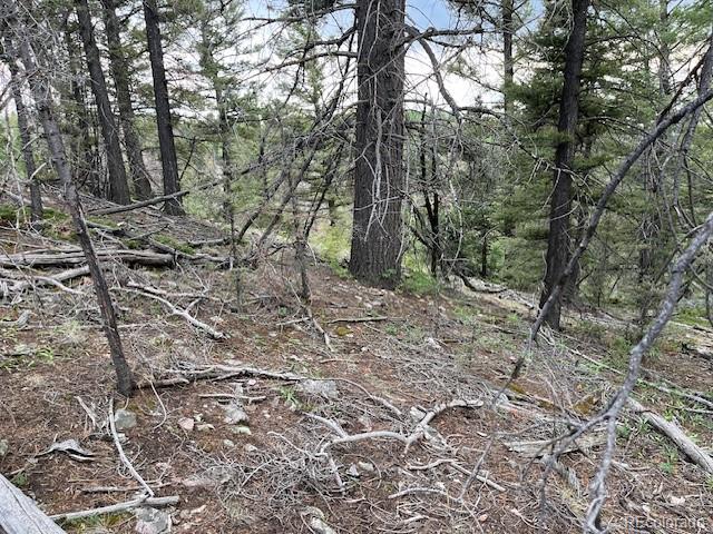 Lot 6184 Ryland Road San Luis CO 81152