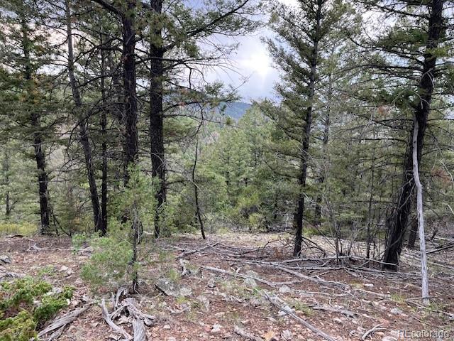 Lot 6184 Ryland Road San Luis CO 81152